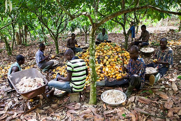 Communal Labor